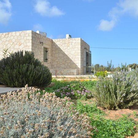 Kalypso Apartments Kastri  Exterior photo
