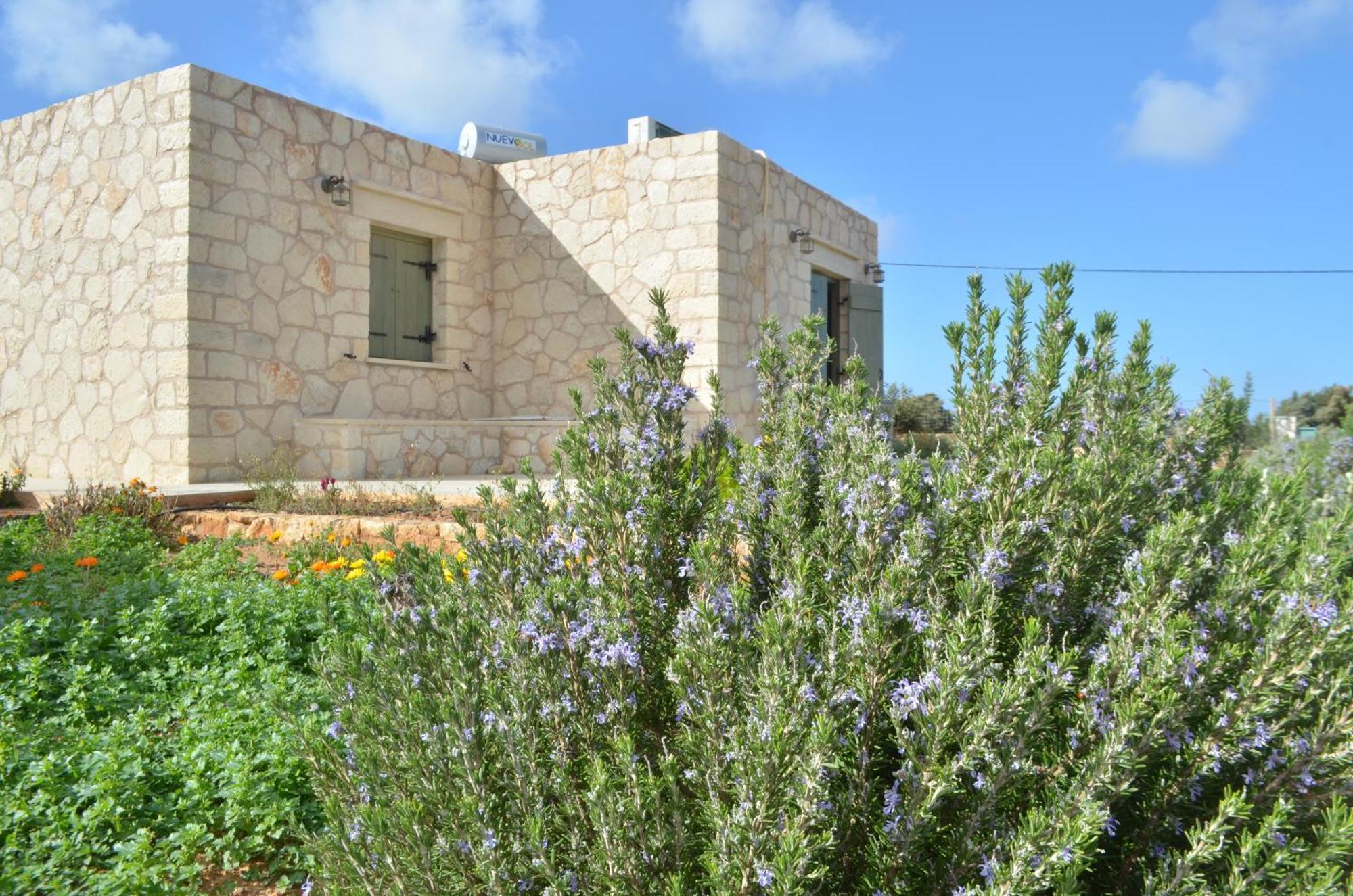Kalypso Apartments Kastri  Exterior photo